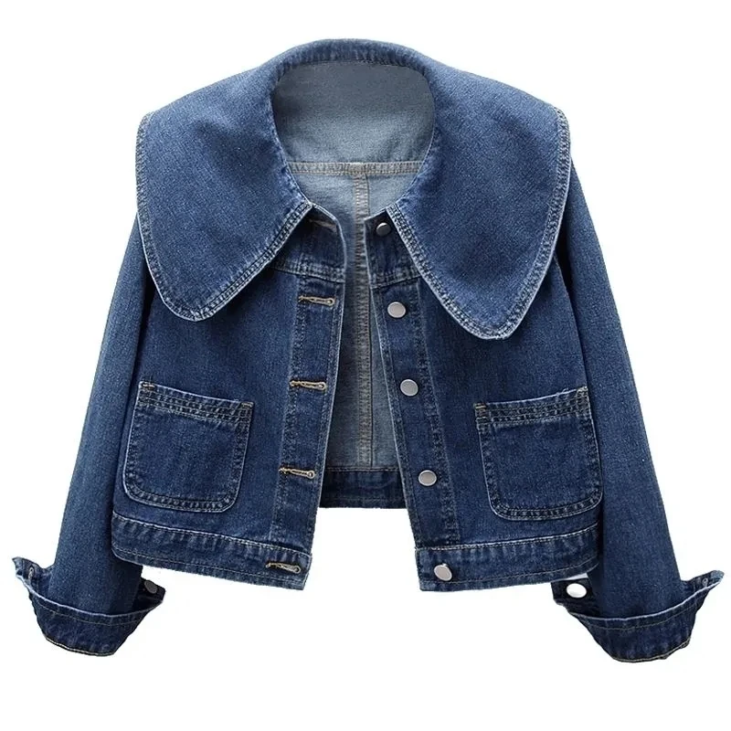 2024 neue Herbst Frauen Denim  – Down Jacket Packable Bewertung und Preis